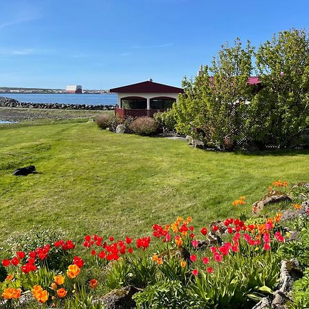 Alka - Cozy Room By The Sea With Private Hot Tub Njarthvik Екстер'єр фото